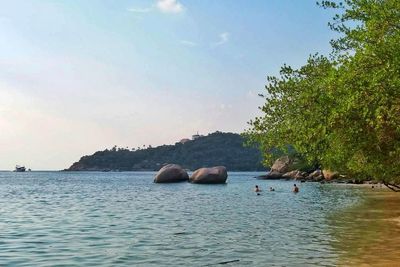 Scenic view of swimming in sea against sky