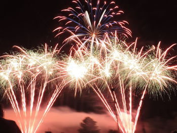 Firework display at night