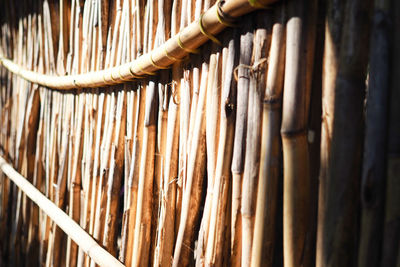 Close-up of clothes hanging