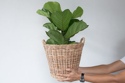 Midsection of woman holding ice cream in basket