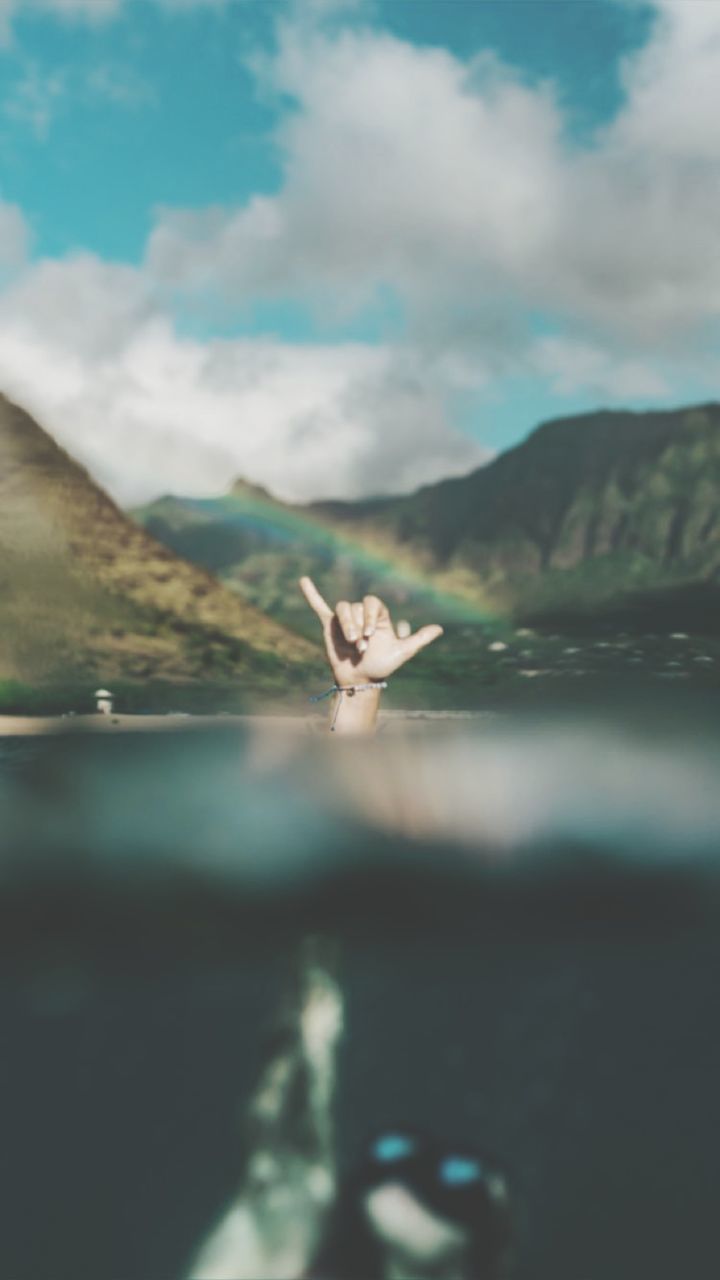 cloud - sky, sky, nature, day, beauty in nature, animal, mountain, no people, water, outdoors, plant, animal themes, scenics - nature, selective focus, focus on foreground, one animal, close-up