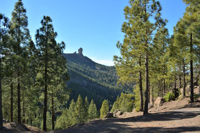 Scenic view of trees and mountains against sky