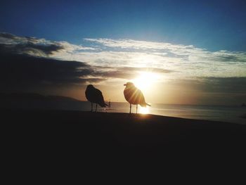 Scenic view of sea at sunset