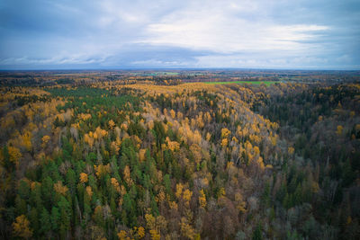 environment