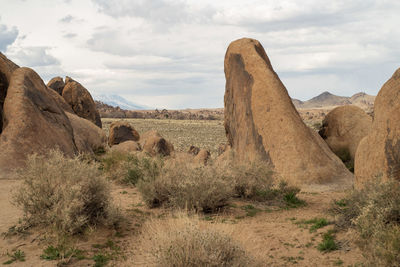 Desert rock formation in arid landscape