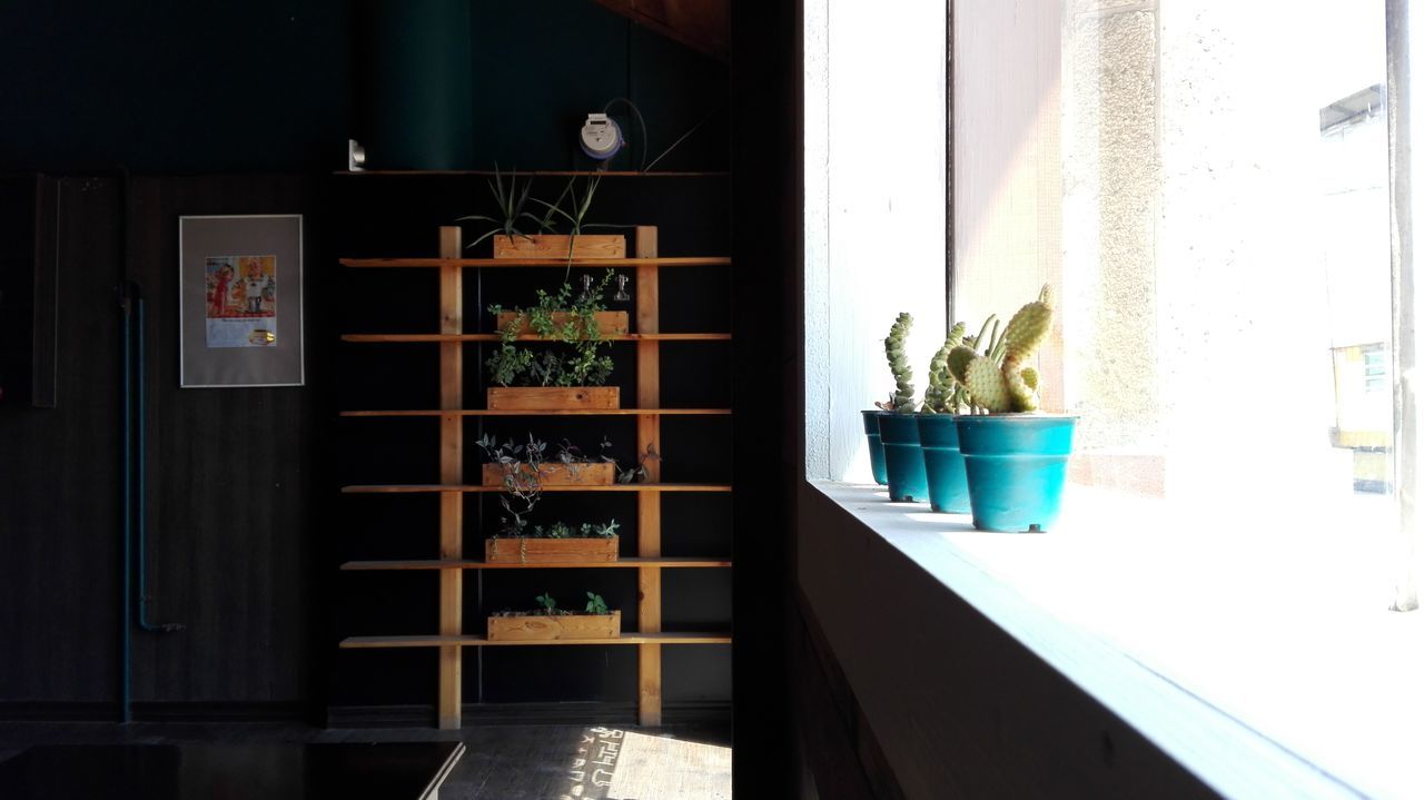 home interior, potted plant, still life, domestic room, wood - material, no people, decoration, absence, furniture, home, day, empty, close-up