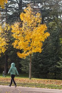 Rear view of woman walking on yellow autumn leaves