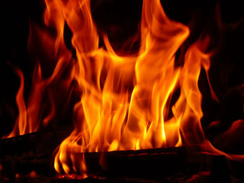 Close-up of bonfire at night