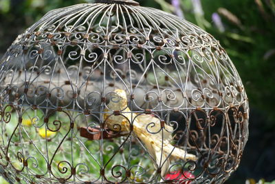 Close-up of a metal fence