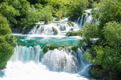 Scenic view of waterfall in forest