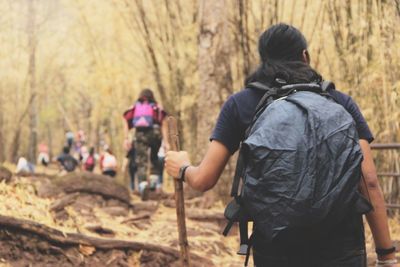 Rear view of man hiking in forest