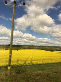 Scenic view of oilseed rape field against sky