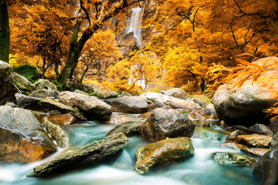 River flowing through rocks in forest during autumn