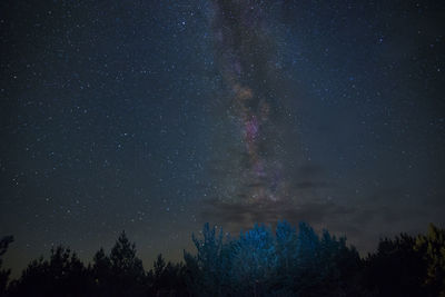 Low angle view of starry sky at night