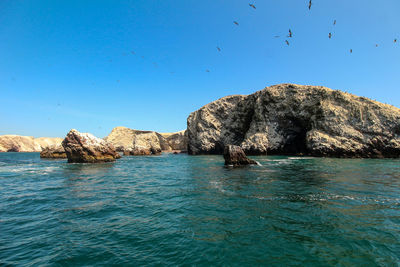 Ballestas islands, paracas, national reserve park