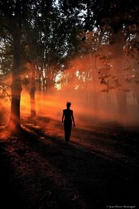 Rear view of man standing on field in forest