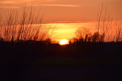 Silhouette trees on field against orange sky