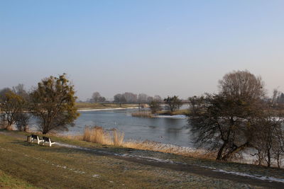 Scenic view of lake against clear sky