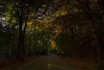Road amidst trees in forest during autumn