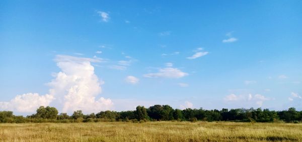 Backgrounds, meadows and clouds in the sky.