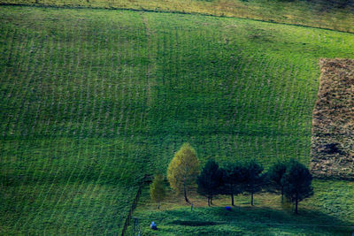 Scenic view of agricultural field