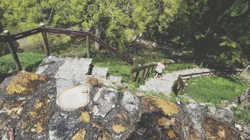 High angle view of water flowing through rocks in forest