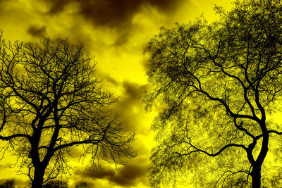 Low angle view of silhouette tree against sky at sunset