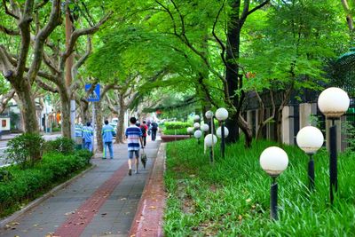 Full length of woman walking on footpath in park