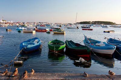 Boats moored in the port