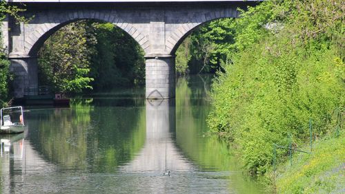 Arch bridge over river amidst trees
