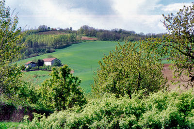 Scenic view of field against sky