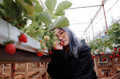 Portrait of young woman holding strawberry standing at farm