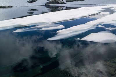 Reflection of trees in water