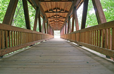 Empty footbridge along trees