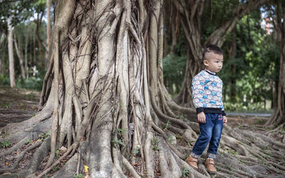 Full length of man standing by tree trunk in forest