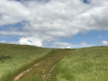 Scenic view of field against sky