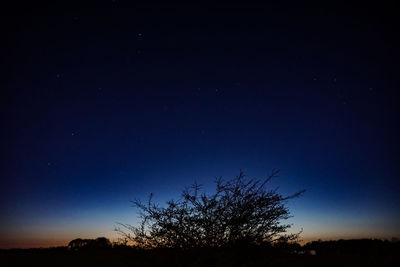 Low angle view of silhouette trees against clear sky at night