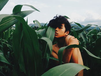 Man hiding amidst crops on field