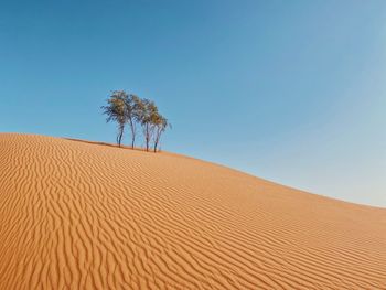 Scenic view of desert against clear sky