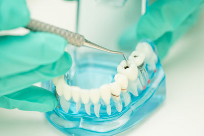 Cropped hands of dentist examining dentures