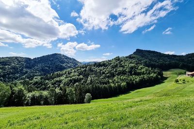 Scenic view of landscape against sky