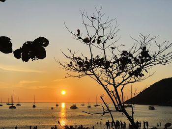 Silhouette birds by sea against sky during sunset