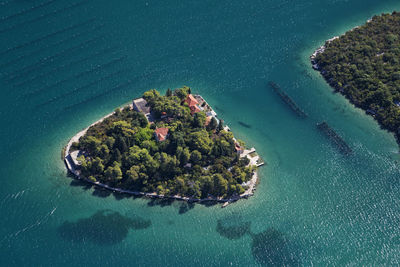 High angle view of trees by sea