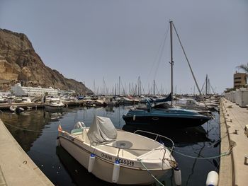 Sailboats in marina