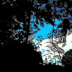 Low angle view of trees against blue sky