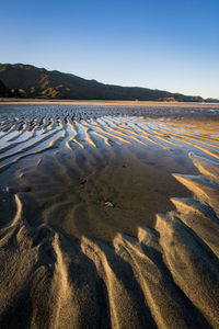 Scenic view of beach against clear sky