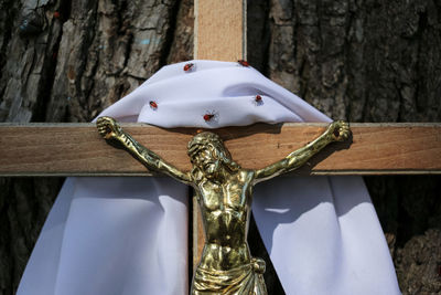 Close-up of statue against wooden wall