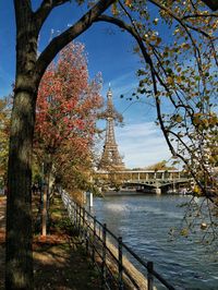 View of trees by river against sky