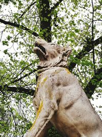 Low angle view of statue against trees