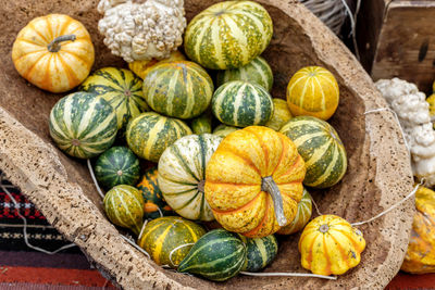 High angle view of pumpkins
